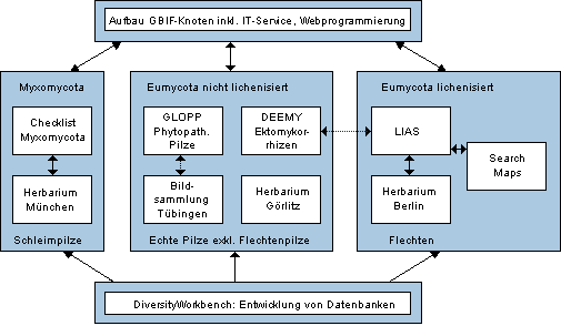 Organigramm GBIF-Mykologie